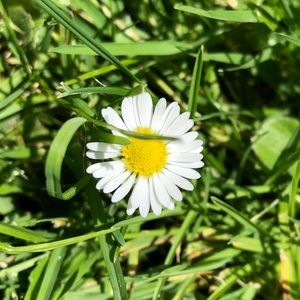 Meet your Posher, Elise